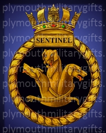 HMS Sentinel Magnet